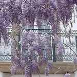 Quinta Da Casa Grande Pinheiro 컨트리하우스 Santa Marinha do Zêzere