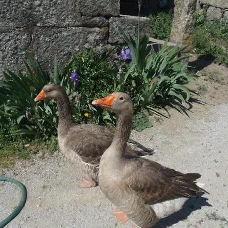Quinta Da Casa Grande Pinheiro Hétvégi ház Santa Marinha do Zêzere