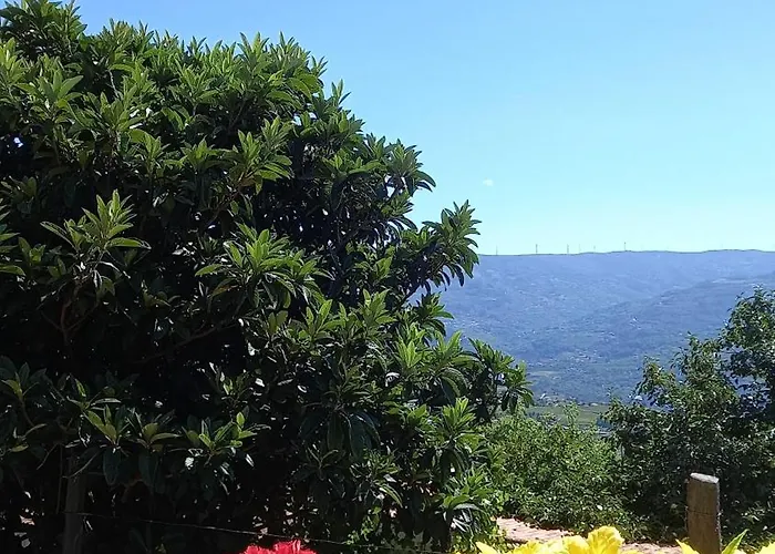 Εξοχικό σπίτι Quinta Da Casa Grande Pinheiro Santa Marinha do Zêzere