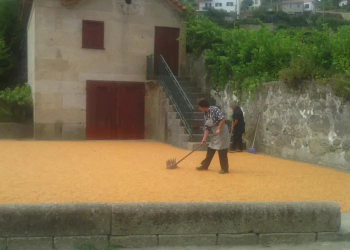 Quinta Da Casa Grande Pinheiro Εξοχικό σπίτι